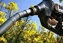 Photo of Demanda global por biocombustíveis deve aumentar 22% nos próximos anos, aponta IEA