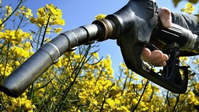 Photo of Demanda global por biocombustíveis deve aumentar 22% nos próximos anos, aponta IEA