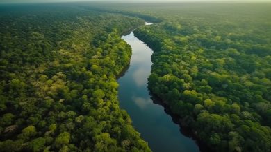 Photo of AGU divulga parecer favorável a exploração na foz do Amazonas